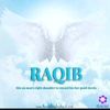 bajaffer