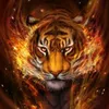 user4707072681953