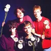 Blur Is My Universe