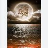 user8750306117693