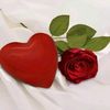 user815783248005