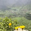 gunde_merake