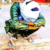 user9437171038103