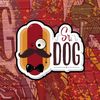 Sr Dog