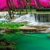 thanhtam.960