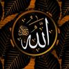umu.khaalid12