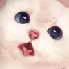 thesnowynugget