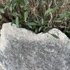 hi096343
