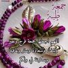 user281588805281
