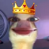 rainielhshs