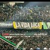 1.4orgenal