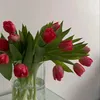 s_agha98