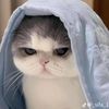nuralfiya76