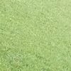 ari_3l._