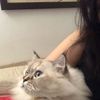 nanalusyu__