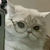 borikatgamer