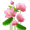 songthienlanh9