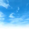 thanhdi123123