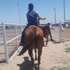 kowboy_killer