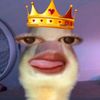 angella8848
