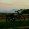 www.najib.co.id