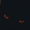blkshadow96