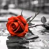 user939815110961