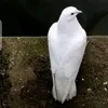 S مسك الختام S
