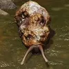aturorgan69