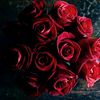 raqeebqureshi32