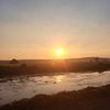 totok_1978