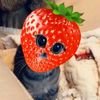stroberyy038