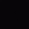 yncg_nvxj