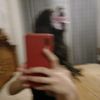 teklako12_