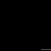 abdullah24971
