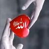 i.love.muhammad751