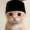 faqih_0.1