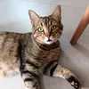 debbibitch0
