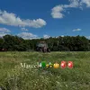 marcel_fiat