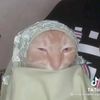sya_hallo