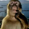 rafaela.lrss