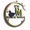 blackmolatransport