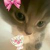 user218221987