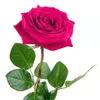 loulou214218