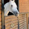 royabarzani88