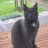 misterymoon0