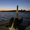gracemurrayy_
