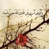 user35741684735040