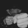 nimoxstar