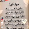noursalem958